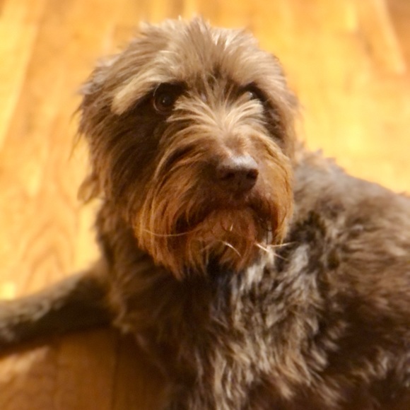 Meet your Posher, Jamie - Picture 2 of 2